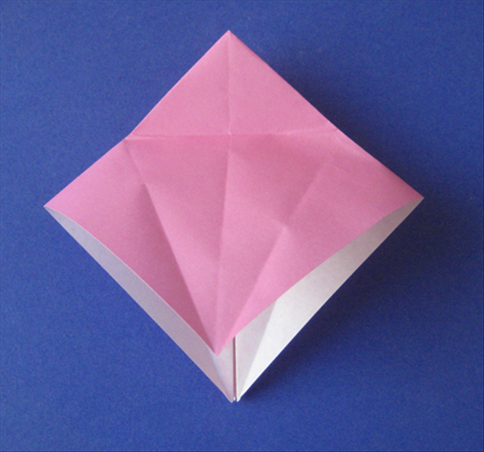 Step 5