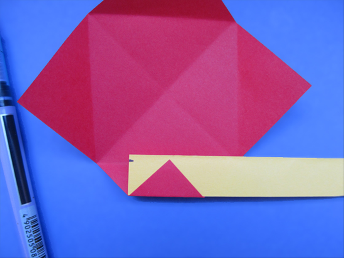 Step 9