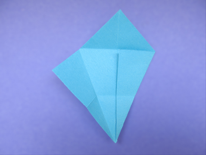 Step 8
