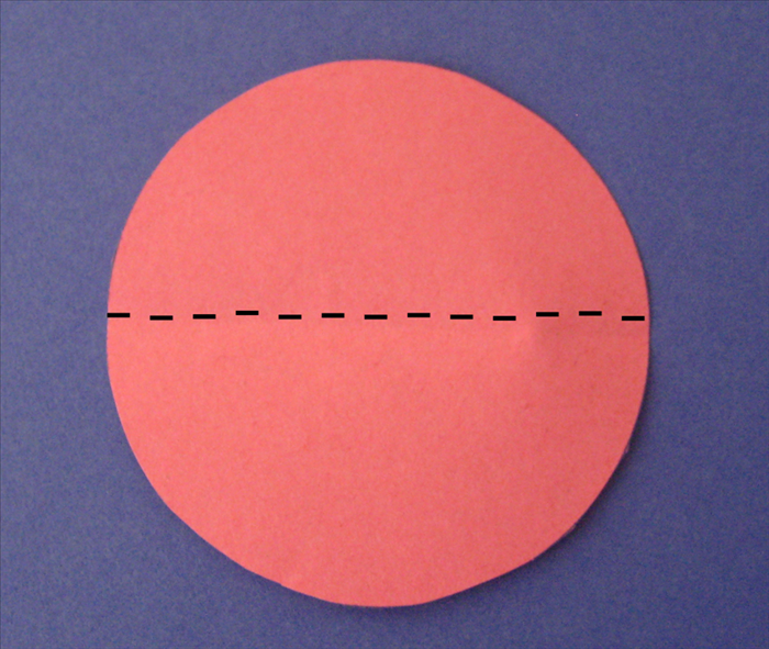 Step 5