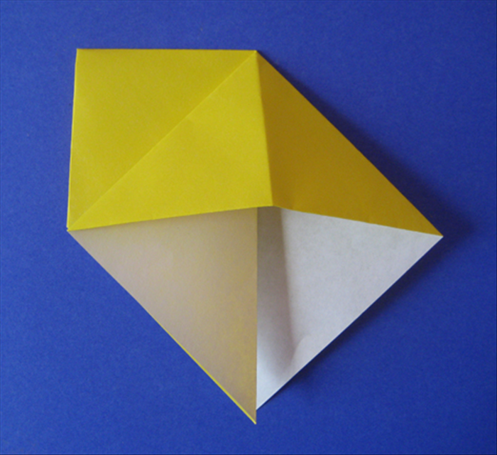 Step 9