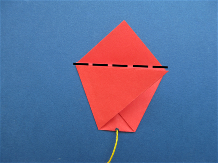Step 9