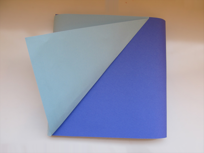 Step 6