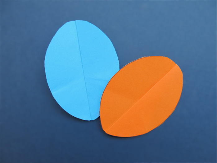 Step 12
