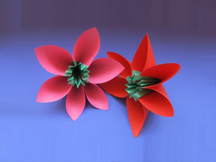 How to Fold Simple Kusudama Flowers
