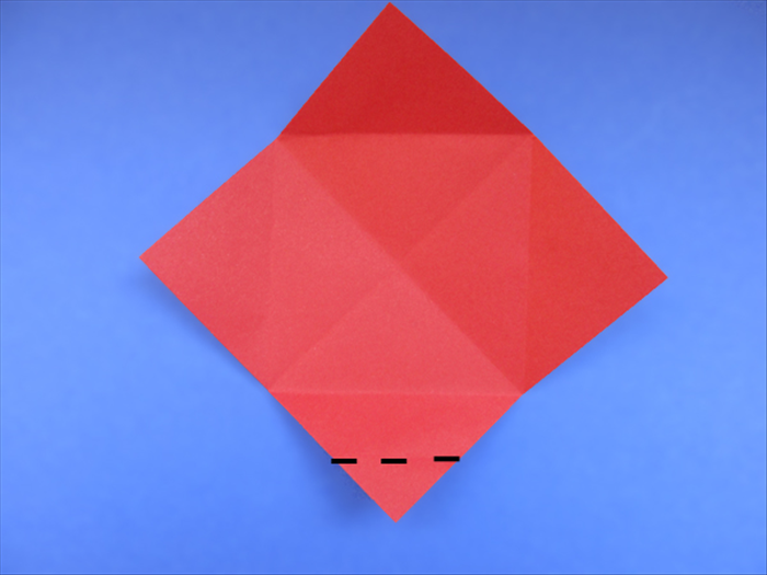 Step 7