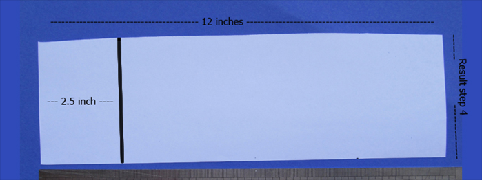 Step 5