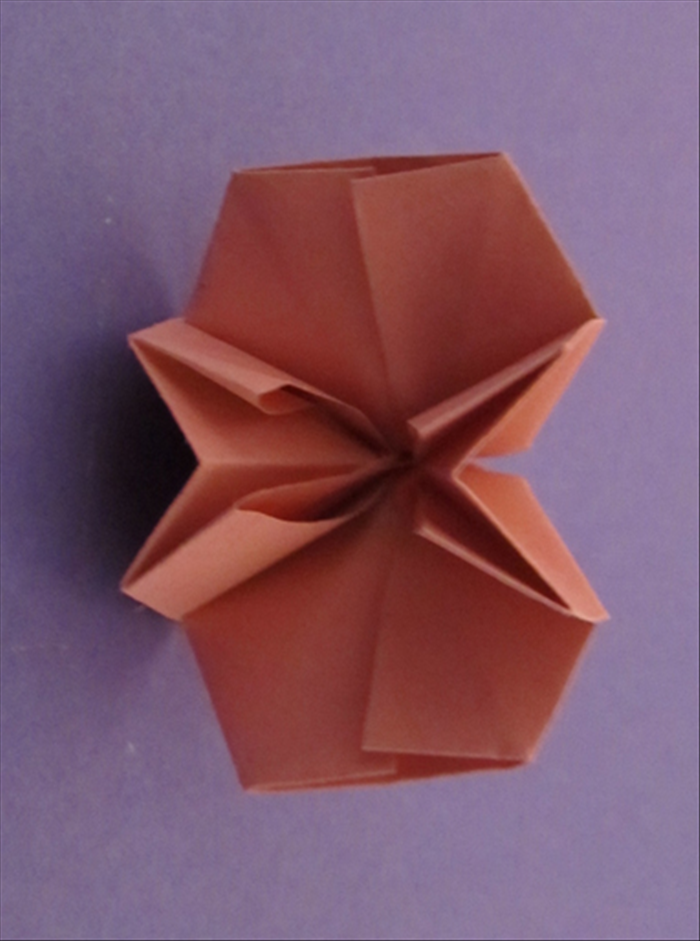 Step 15