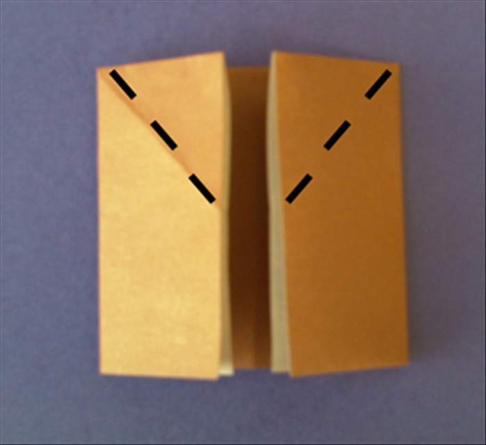 Step 5