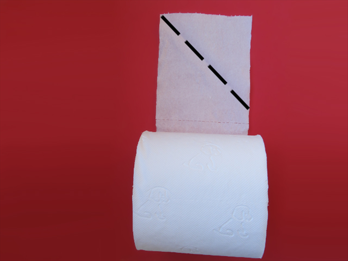Easy Toilet Paper Folding: Master Hotel Toilegami for Guests