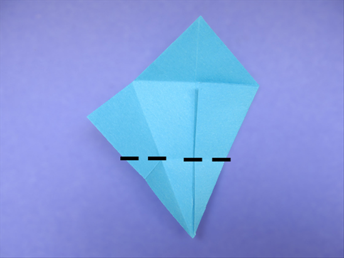 Step 9