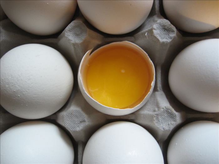How to know what is the yolk and the white of an egg