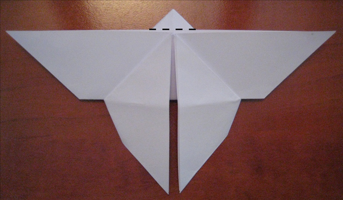 Step 13