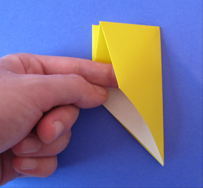 Step 7