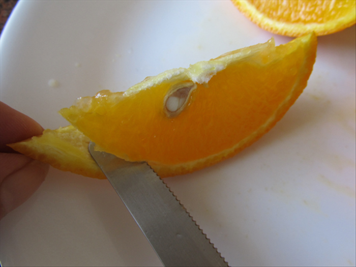 How to Cut Oranges Without Mess: A Clean & Easy Guide