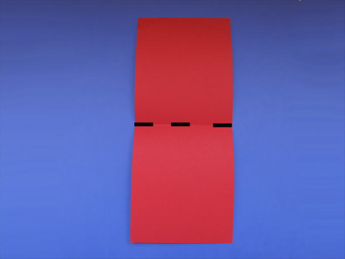 Step 5