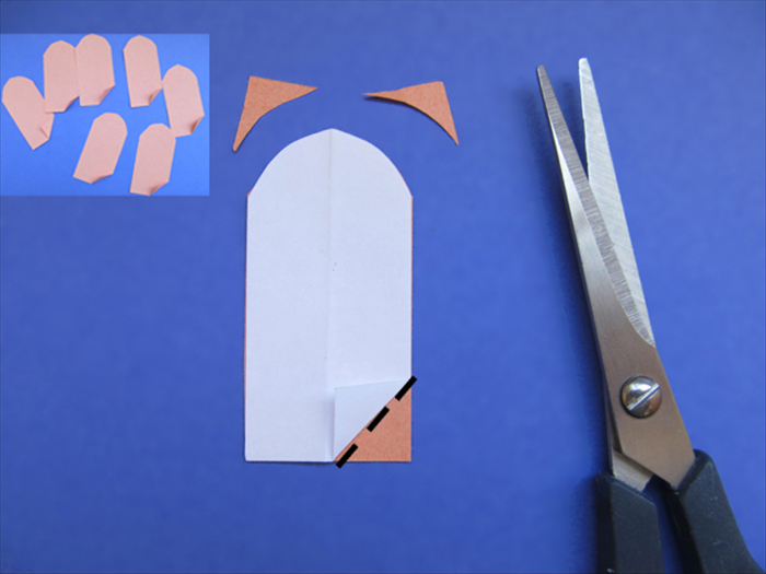 Step 9