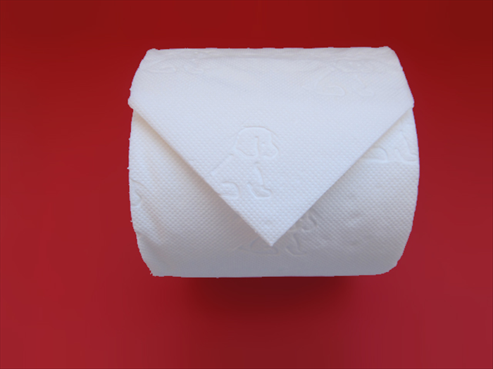 Easy Toilet Paper Folding: Master Hotel Toilegami for Guests