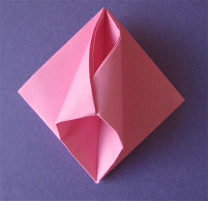 Step 7