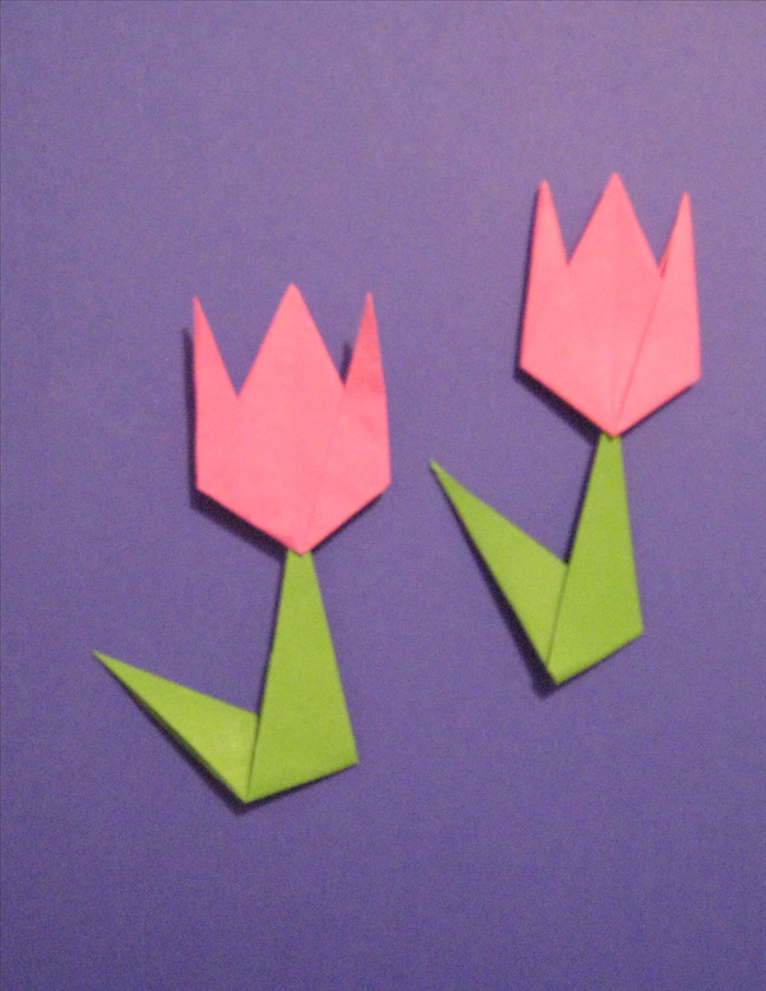 How to Fold an Origami Tulip