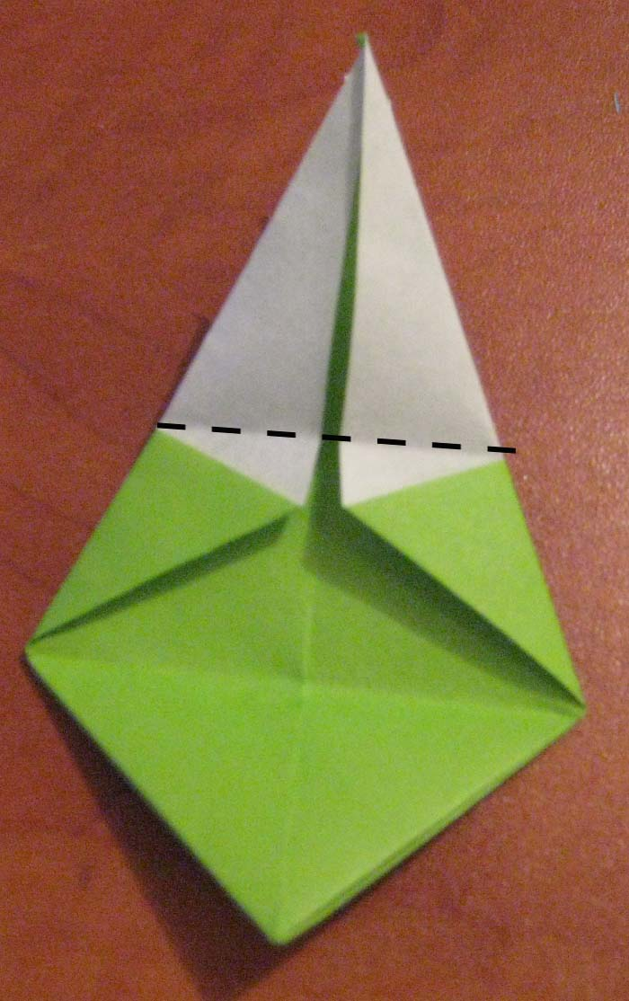 Step 15