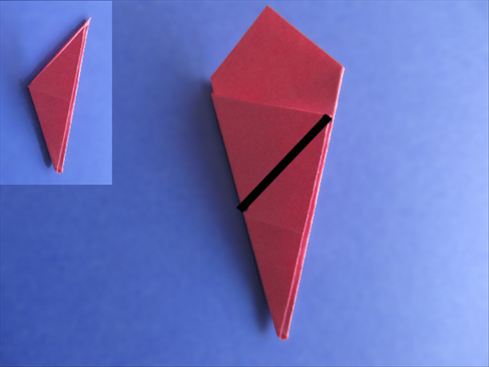 Step 12