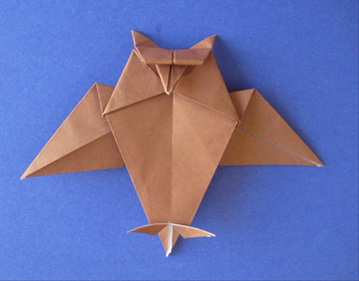 How to fold a traditional origami owl