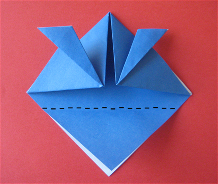 Step 6