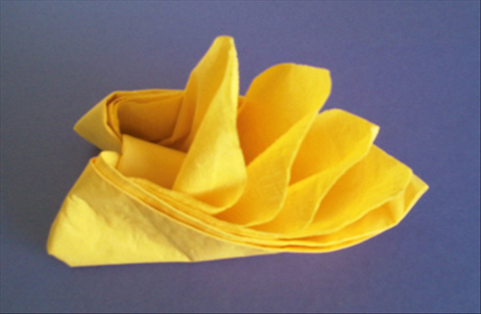 How to fold the bird of paradise napkin fold