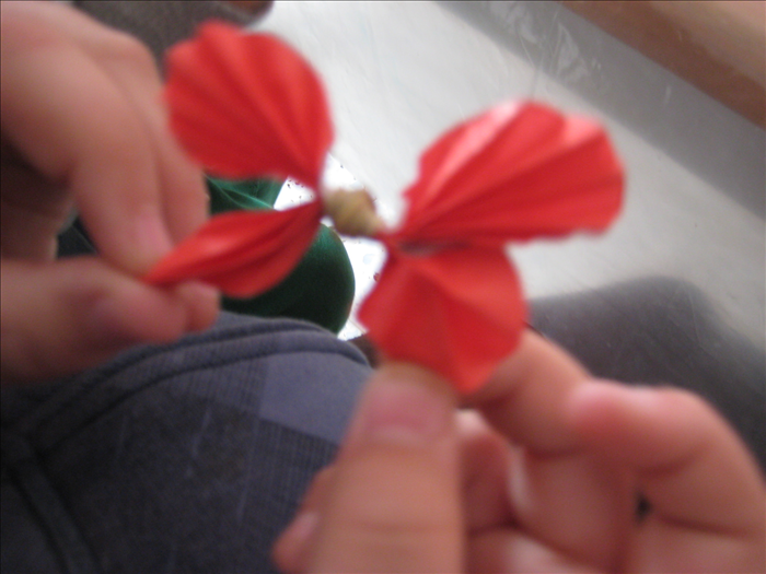 Step 6
