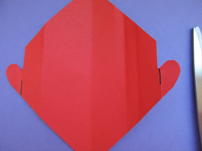 Step 8