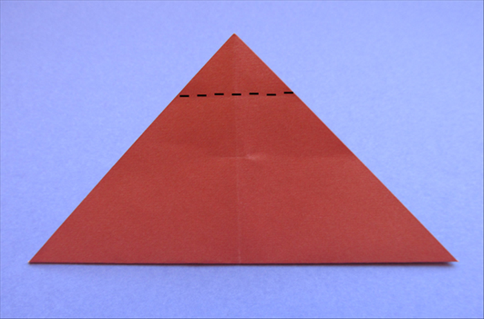 Step 5