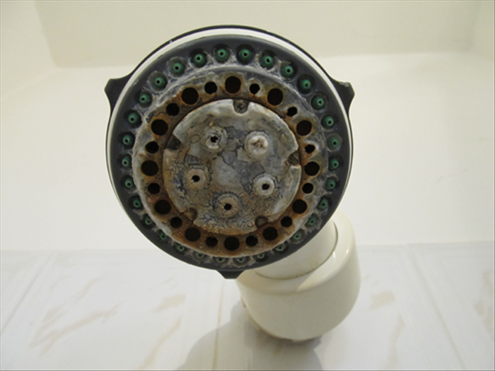 How to Clean a Shower Head: Easy DIY Guide to Remove Calcium Deposits