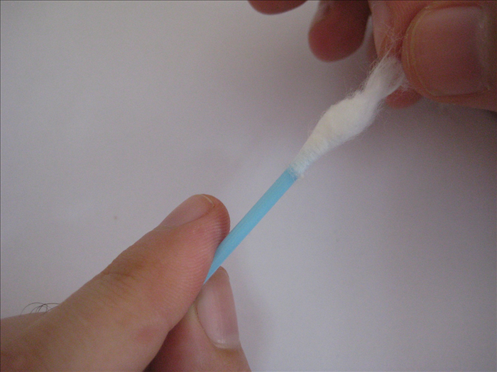 Step 7