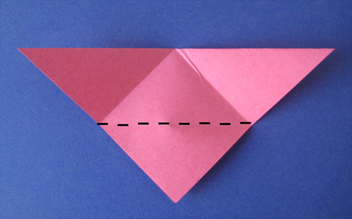 Step 5
