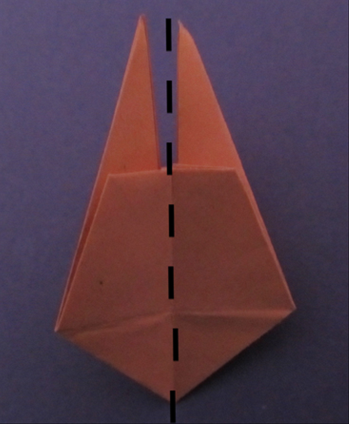 Step 12