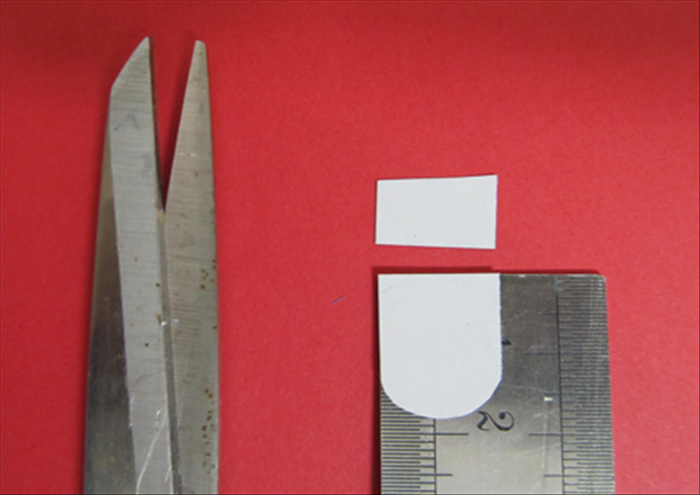 Step 16