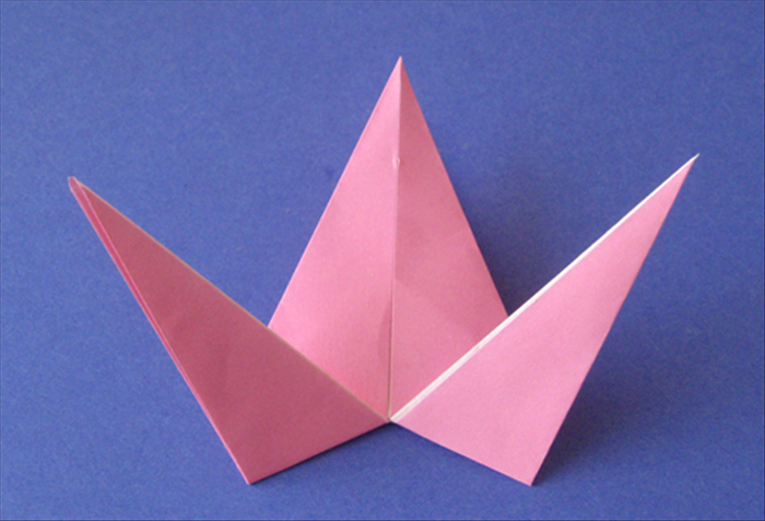 Step 9