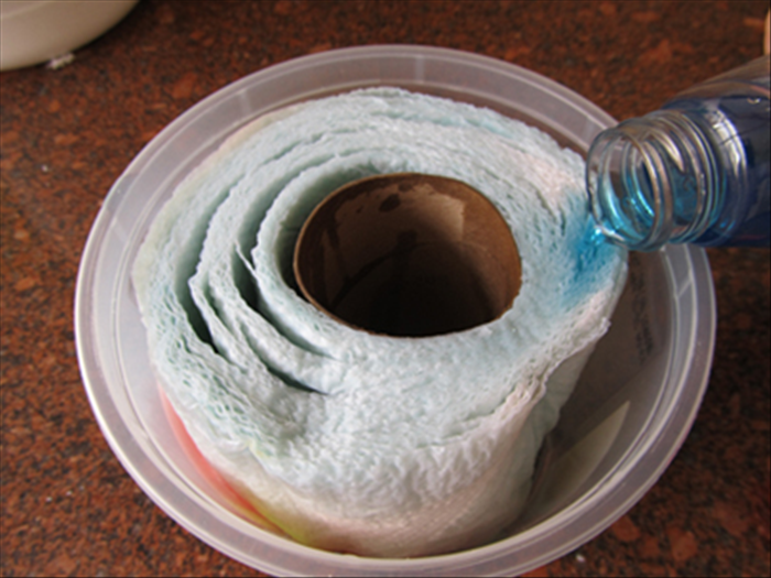 Step 5