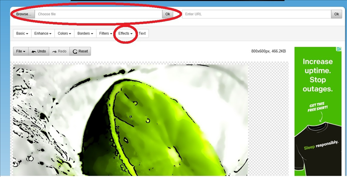 Top 5 Free Sites to Turn Your Photo into a Cartoon Online