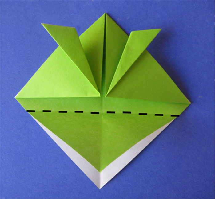 Step 7