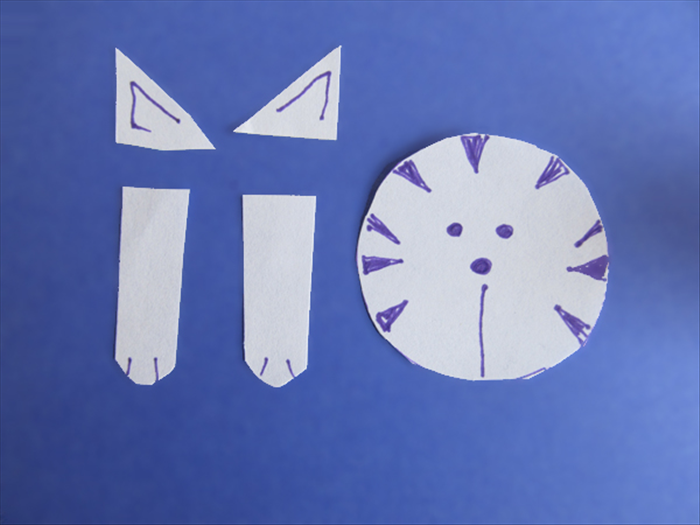 Step 9