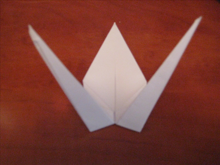 Step 14