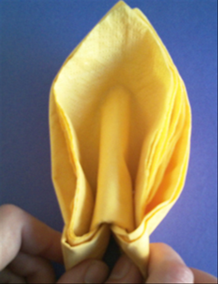 Step 7