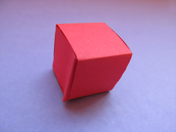 Step 9