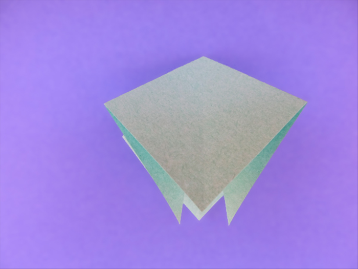 Step 6