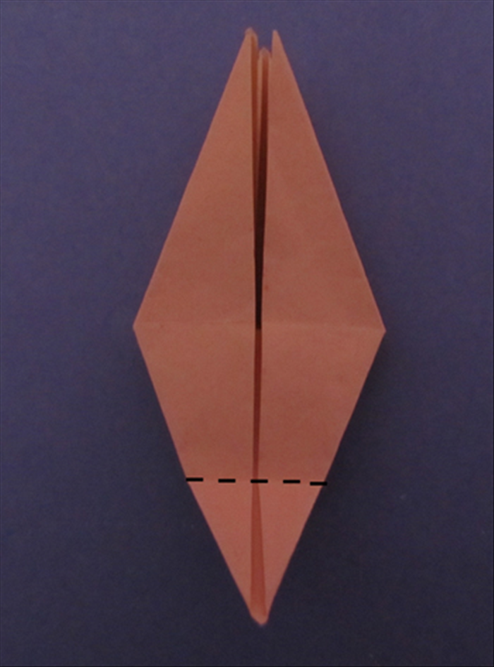 Step 8