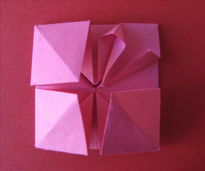 Step 12