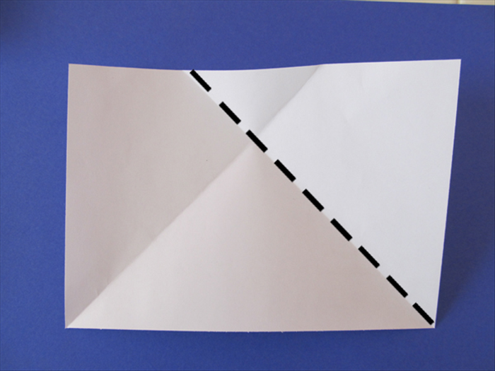 Step 4