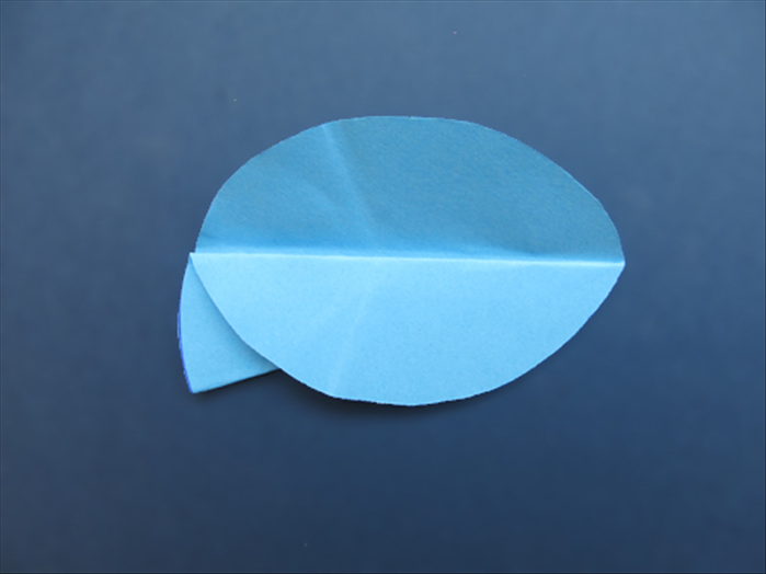 Step 9